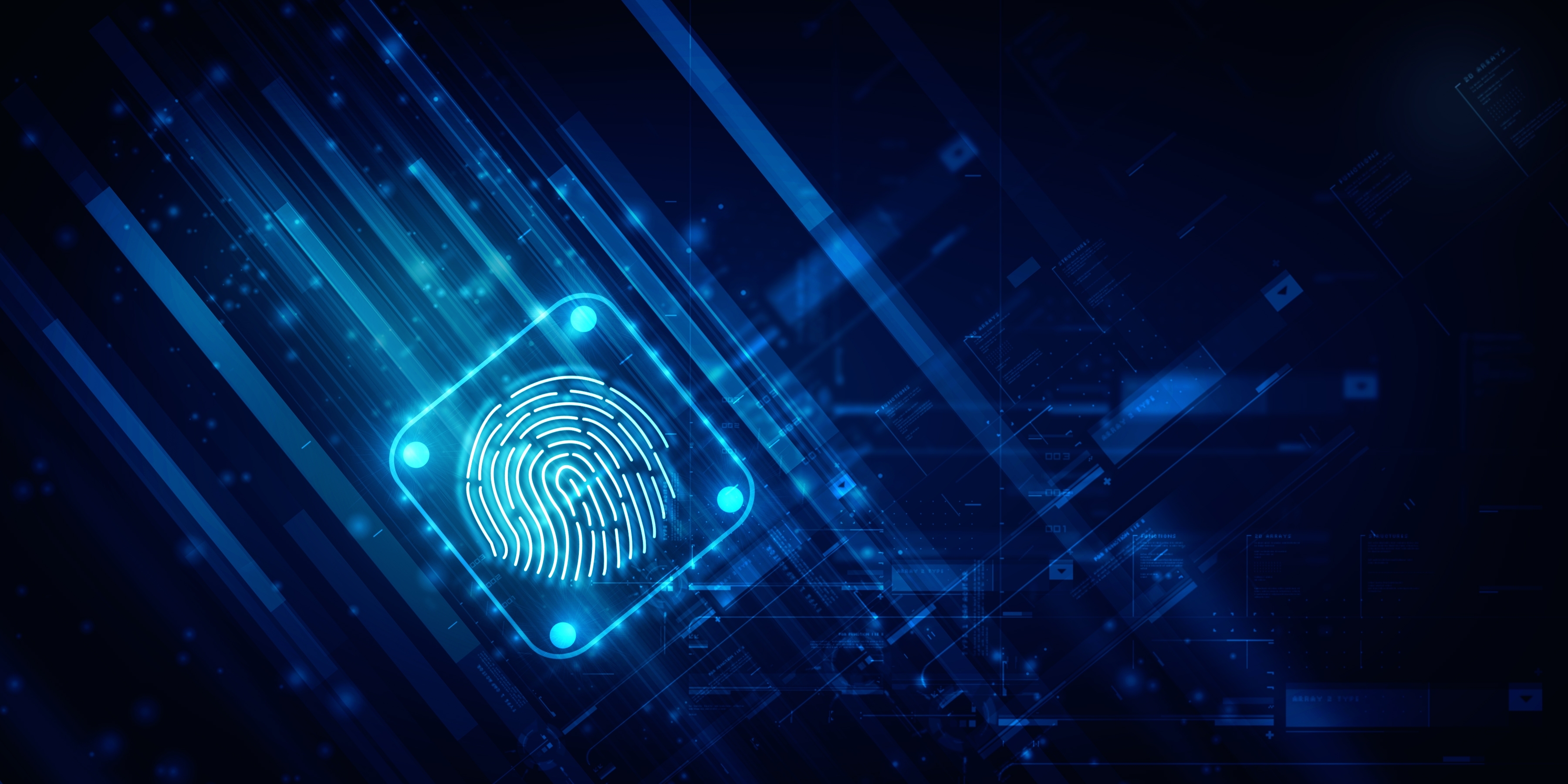 Digital fingerprint 